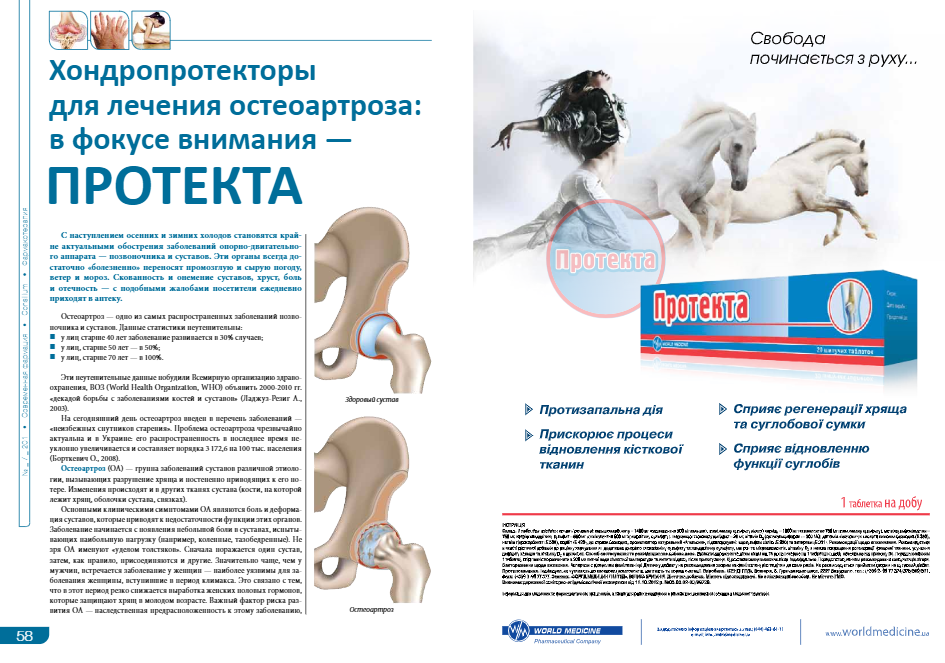 Хондропротектори для лікування остеоартрозу: у фокусі уваги – Протекта