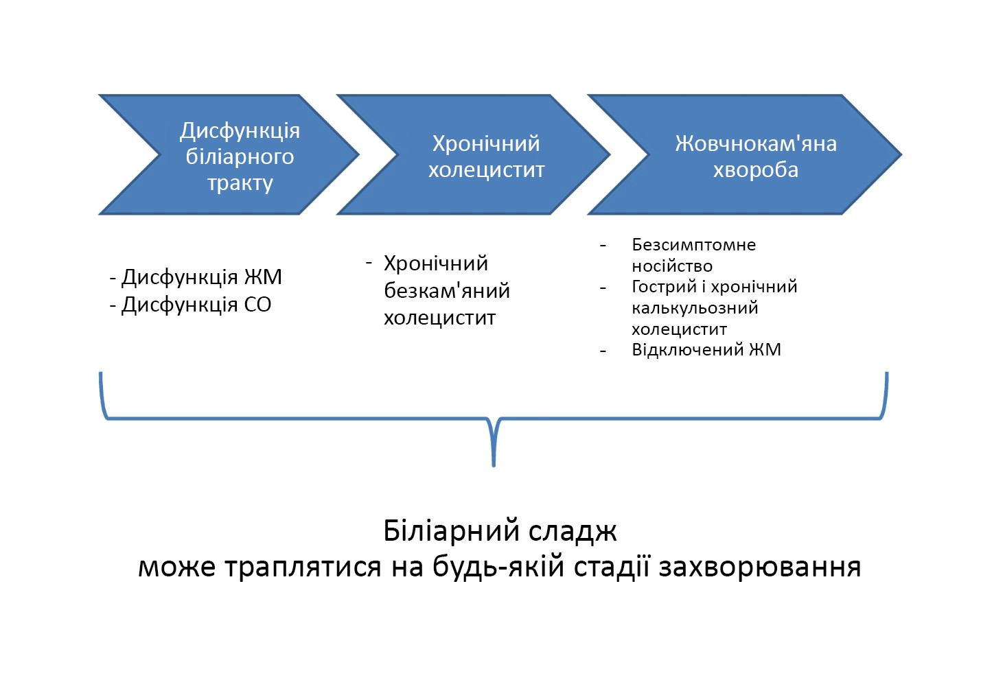 Дискінезії жовчовивідних шляхів: традиційні і сучасні уявлення